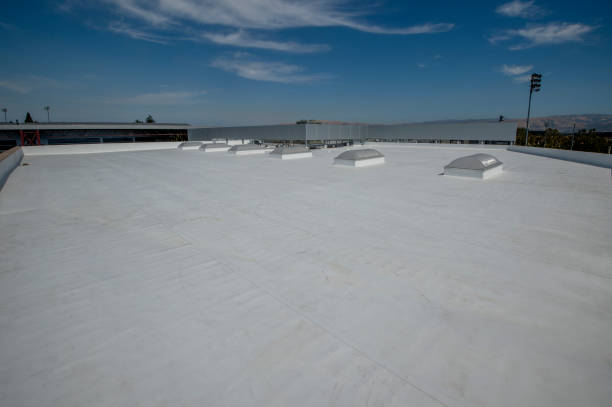Best Slate Roofing  in Rutherford, PA