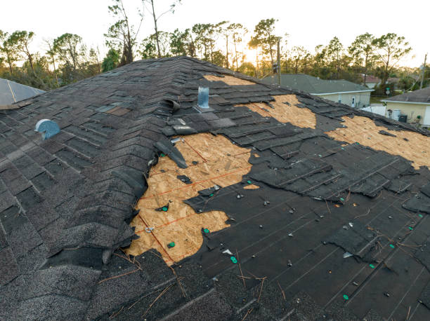 Best Roof Ventilation Installation  in Rutherford, PA