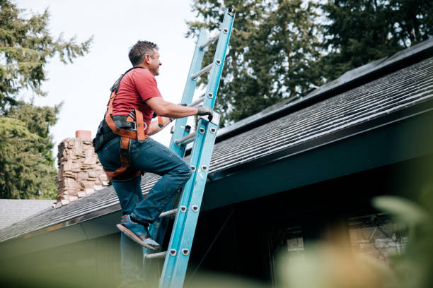 Best Roof Moss and Algae Removal  in Rutherford, PA